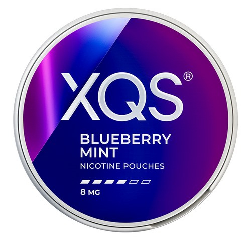 XQS Blueberry Mint 8mg Nicotine Pouches