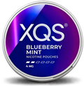 XQS Blueberry Mint 4mg Nicotine Pouches