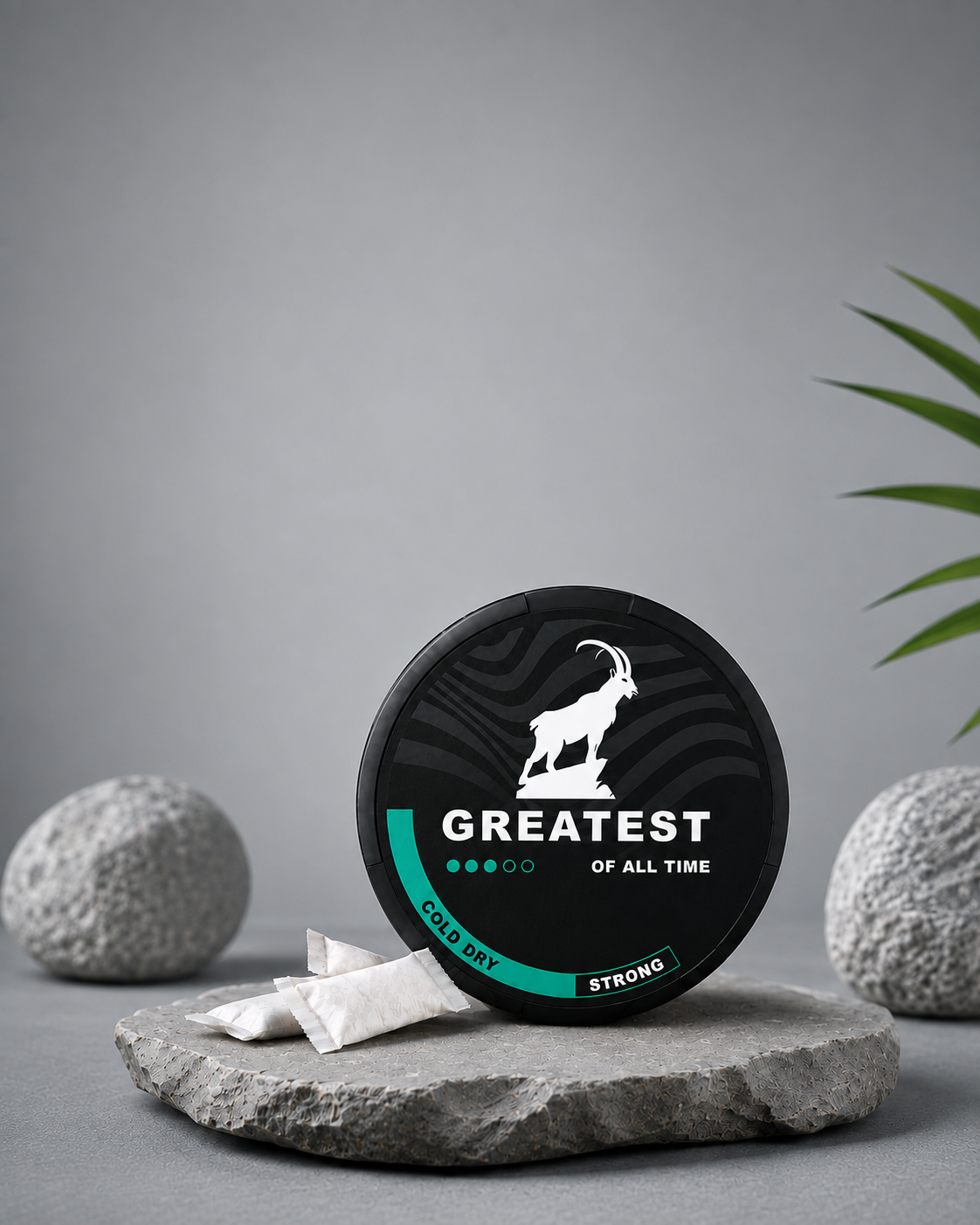 YOUR DESTINATION FOR NICOTINE POUCHES